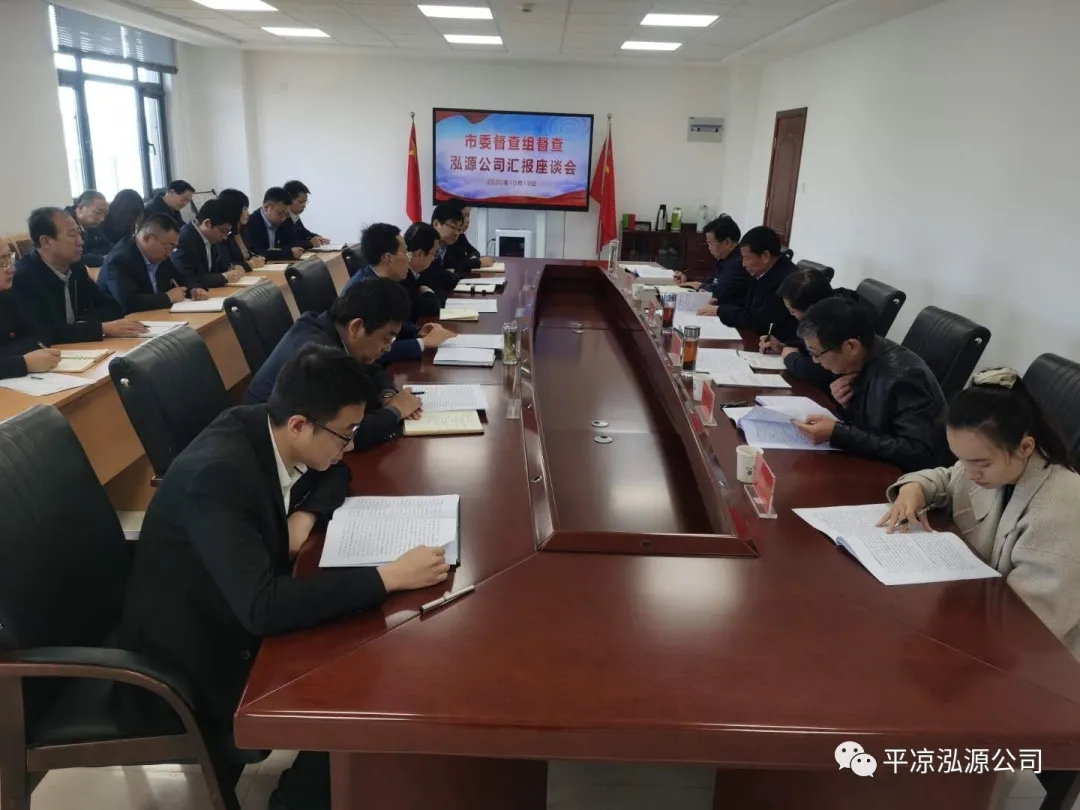 市委辦公室、市政府國資委督查泓源公司工作(圖4)